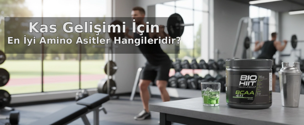 Kas Gelişimi İçin En İyi Amino Asitler Hangileridir